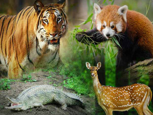  list of places with wildlife sanctuaries reserves and parks in kannada