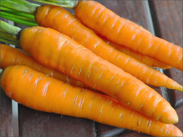 Carrots top 10 healthy benefits in kannada everybody must read 3