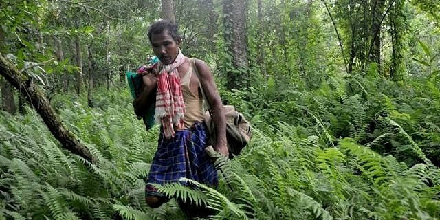 Forest Man who spent 37 years to plant whole Forest Jadav Payeng 2 
