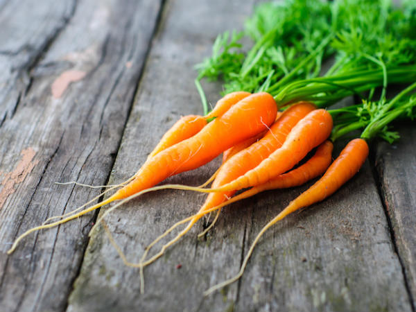 Fun Facts about Carrots the second most popular vegetable 2