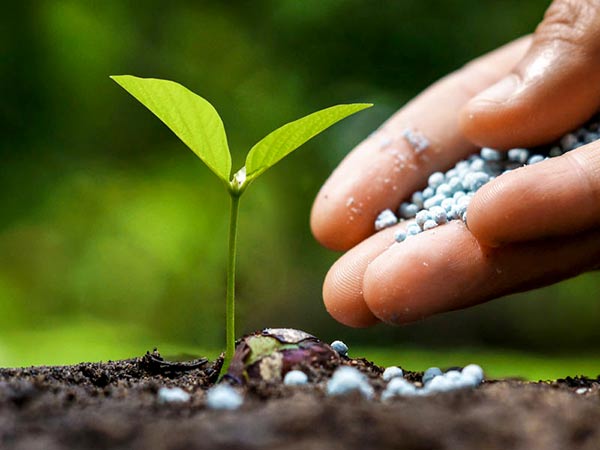 Things to know before buying Fertilizers Tips for Former's 